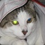 Lunakitten10