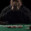 Alcoholic gambler