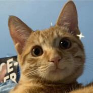 总之就是非常摆烂