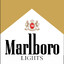 Marlboro Lights