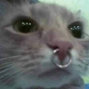 233333333333333333233