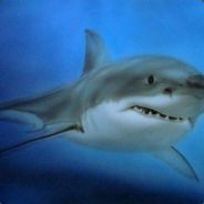 shark_lavay - steam id 76561197970953437