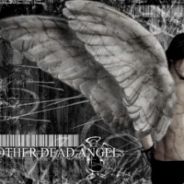 Too bitter、to heartacid