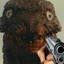 noOBziLLA