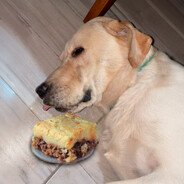 El Perro Pastel de Papa