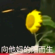 满床清梦压星河