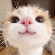 отлижи мне киску - steam id 76561199550527049