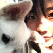 朱颜辞镜花辞树