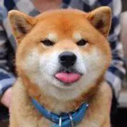 求求你给我打一下