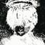 kaneki kent