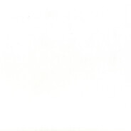 капитан полюции