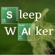 [S]leep[W]alker