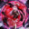Reverie Requiem