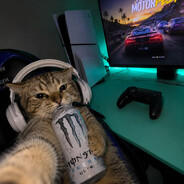 Taz