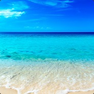 BLUEOCEAN