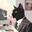 Chat Noir