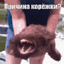 Причина корежки?
