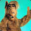 ALF