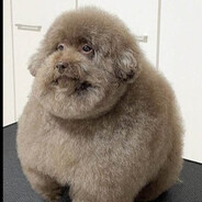 Стояковский