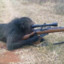 sniper_monkey