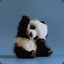 BABY PANDA