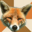 gamerfox_ftv