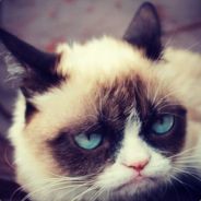 中老年养生枪法