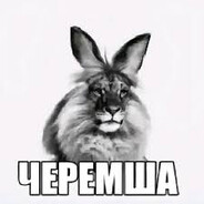 черемша
