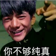 电脑玩家理塘益西