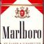 Marlboro