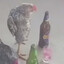 depressed bird