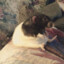 rat