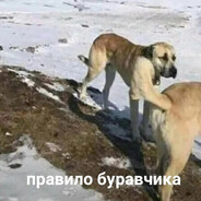 vareniki