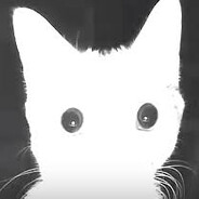 Мне нужно дерьмо