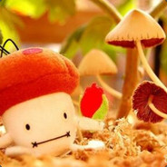 事已至此，先打个胶吧