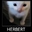 herbert