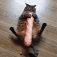 lingeringjam's Avatar