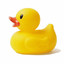 Duckk