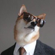helpfuldog1324