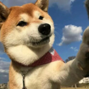 小宋不会打游戏