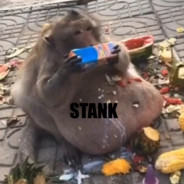 stank