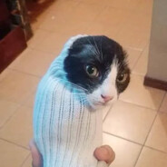 Sebastion66PL discord.gg/cscdc