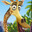 Melman