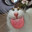 Котик
