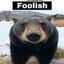 bear