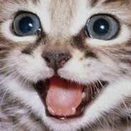 kitty's avatar
