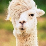 几多烟雨几多愁