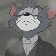 晚风没能留住你