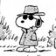 inconspicuous dog