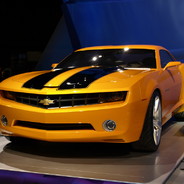 Bumblebee - steam id 76561197969938940